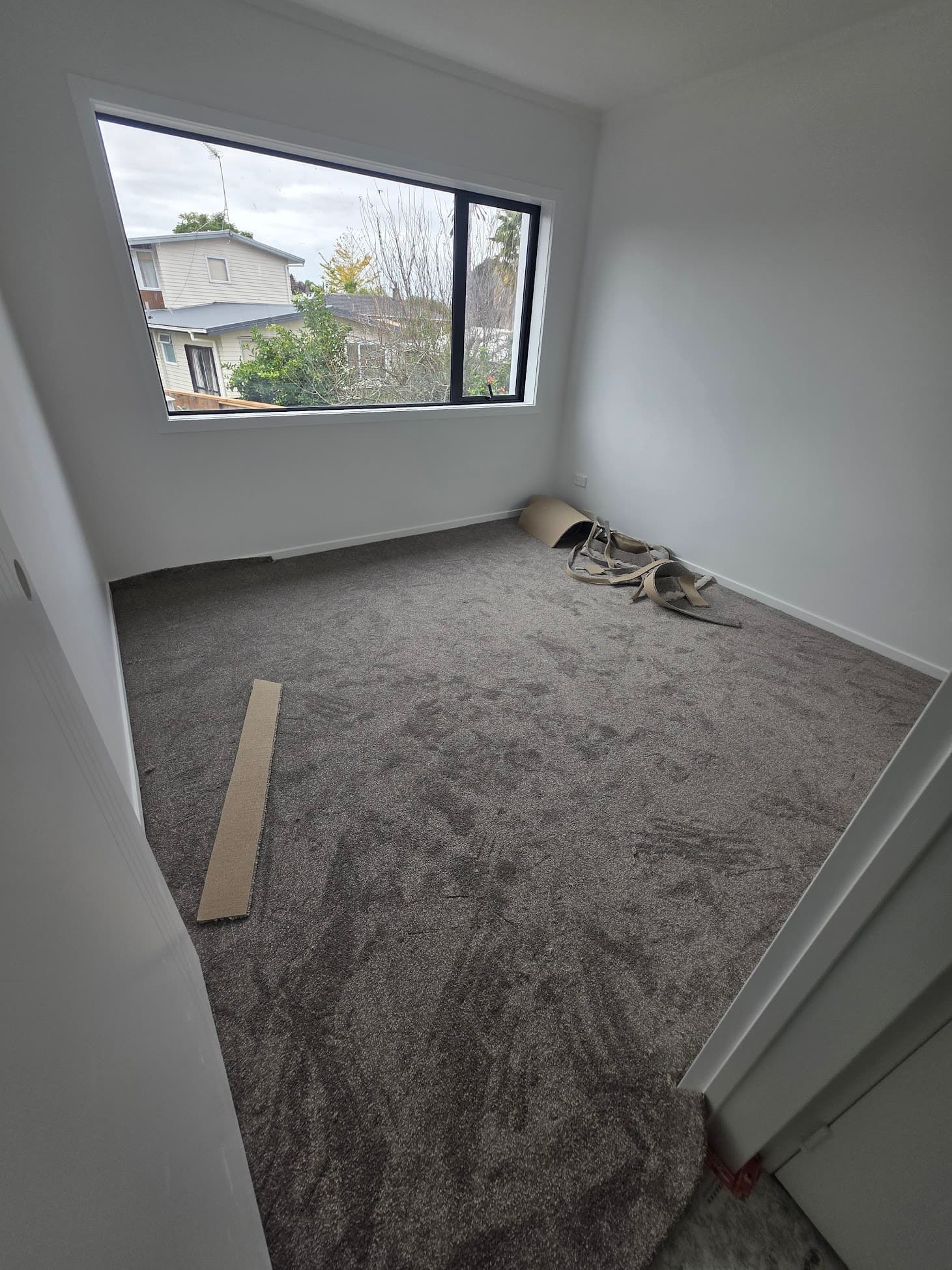 Carpet